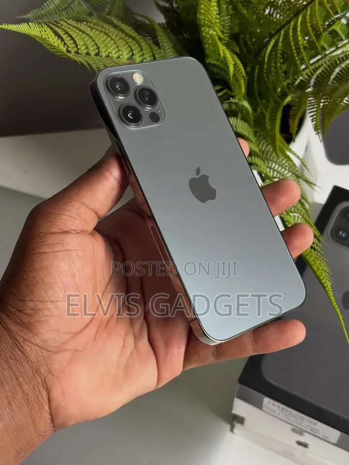 Apple iPhone 12 Pro 256 GB Gray