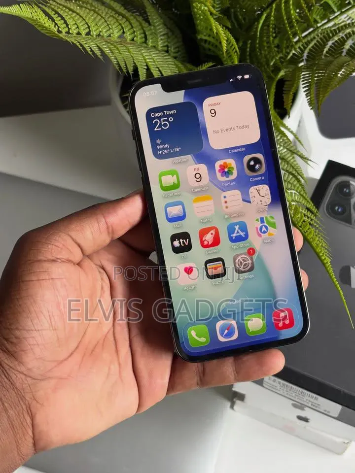 Apple iPhone 12 Pro 256 GB Gray