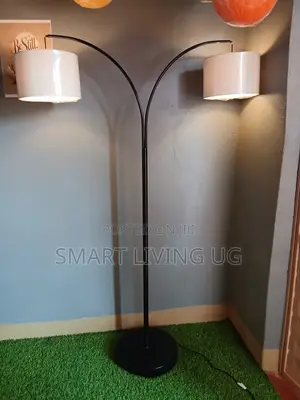 Luxury Black 2shade Floor Lamp