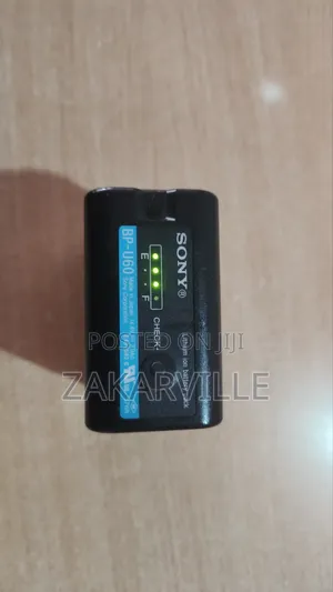 Sony BP-U60 Battery