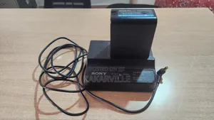 Sony BP-U60 Battery