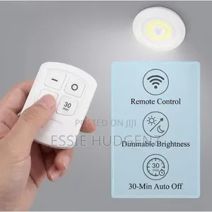 Led Light With Remote Controll(3pcs)