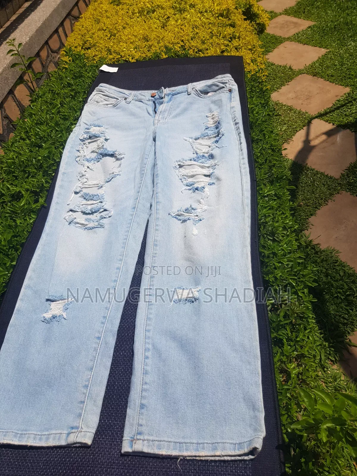 Fashion Plug
