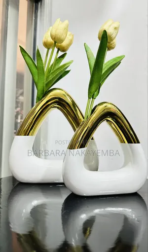 2 Piece Ceramic Decor Vases