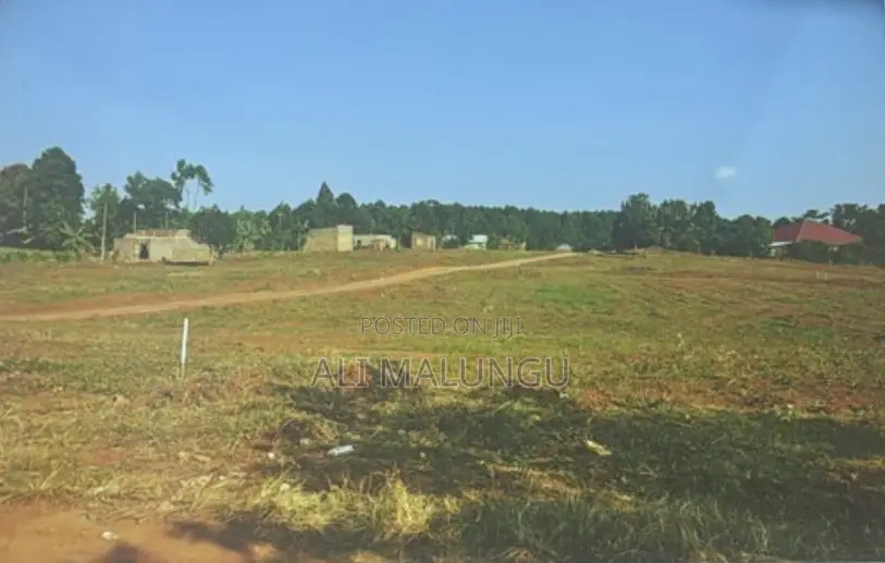 Titled 50×100 Plots for Sale in Nakawuka – Namulogo Estate