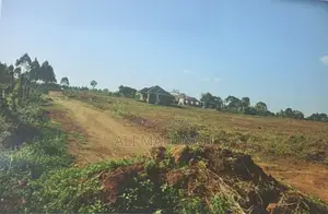 Titled 50×100 Plots for Sale in Nakawuka – Namulogo Estate