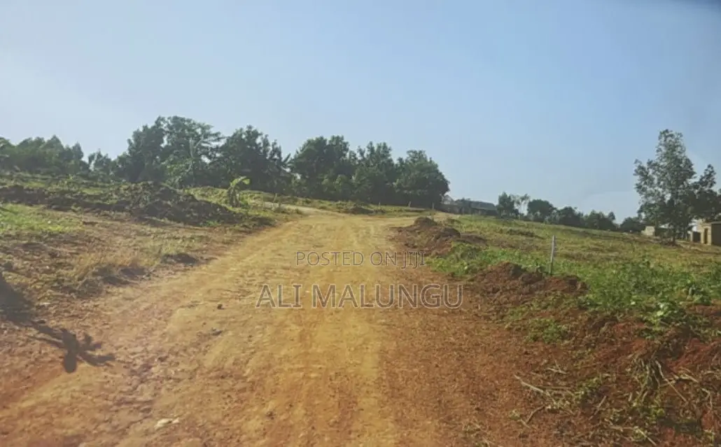 Titled 50×100 Plots for Sale in Nakawuka – Namulogo Estate