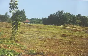 Titled 50×100 Plots for Sale in Nakawuka – Namulogo Estate