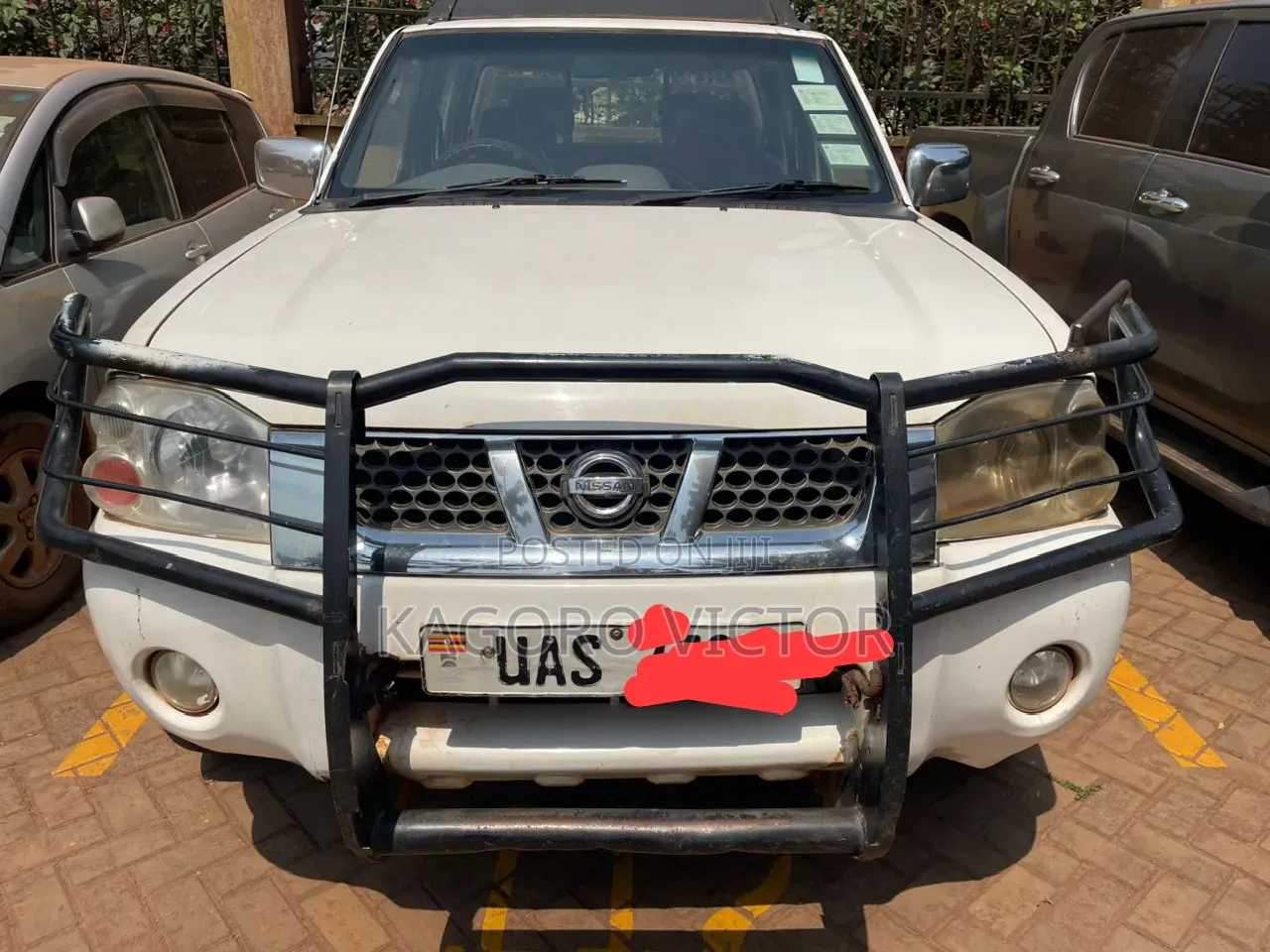 Nissan Hardbody 2002 White