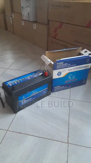 100Ah Buffalo N100/L Left Hand Heavy Duty Car Battery 12V