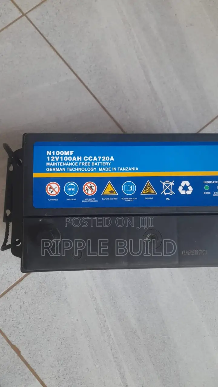 100Ah Buffalo N100/L Left Hand Heavy Duty Car Battery 12V