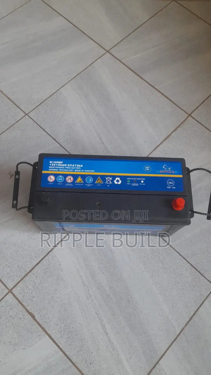100Ah Buffalo N100/L Left Hand Heavy Duty Car Battery 12V