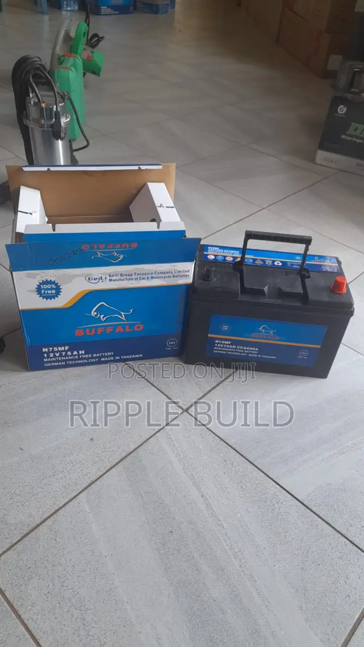 75Ah Buffalo N75/L Left Hand Car Battery 460CCA 12V