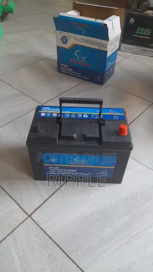 N75 75Ah Buffalo Car Battery 460CCA 12V