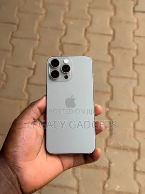 Apple iPhone 15 Pro Max 256 GB Gray