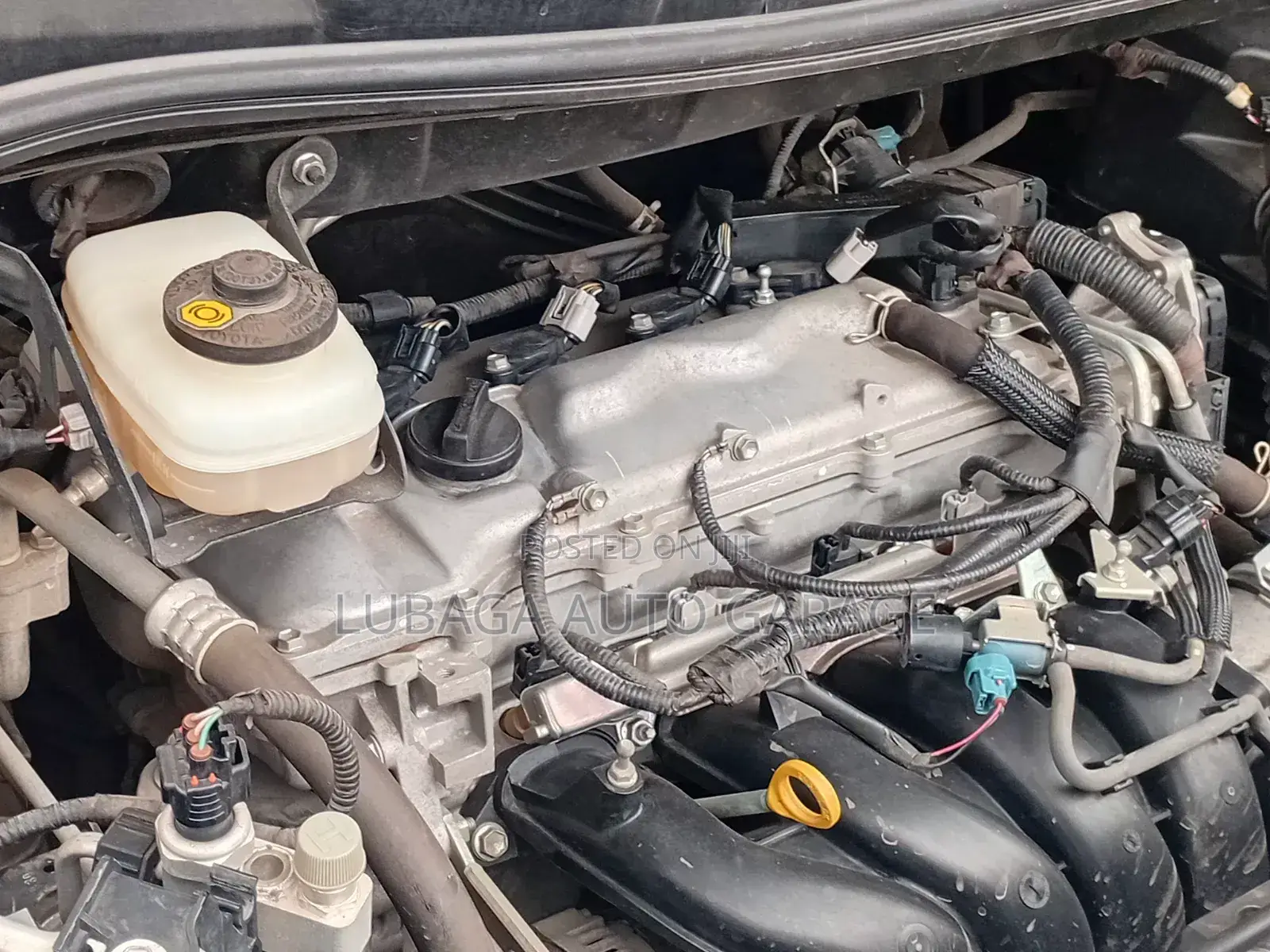 Motor Mechanics