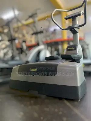 Techno Gym Stepper