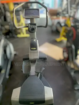 Techno Gym Stepper