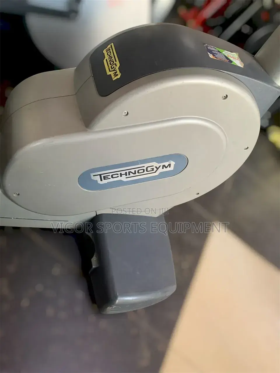 Techno Gym Stepper