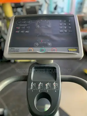 Techno Gym Stepper