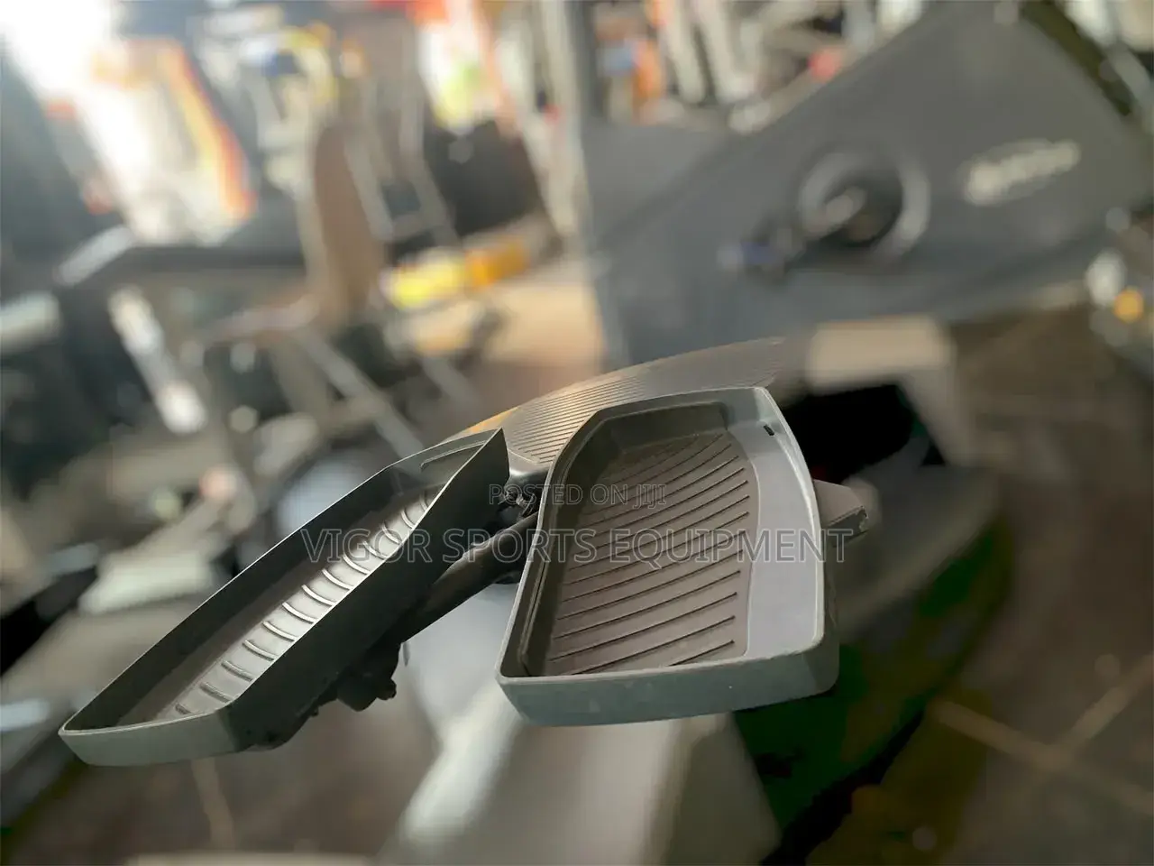 Techno Gym Stepper
