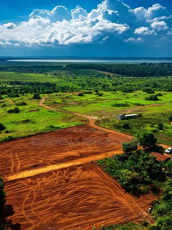 New Estate in Entebbe - Buwaya Sazi Titled 12 Decimals Near Road