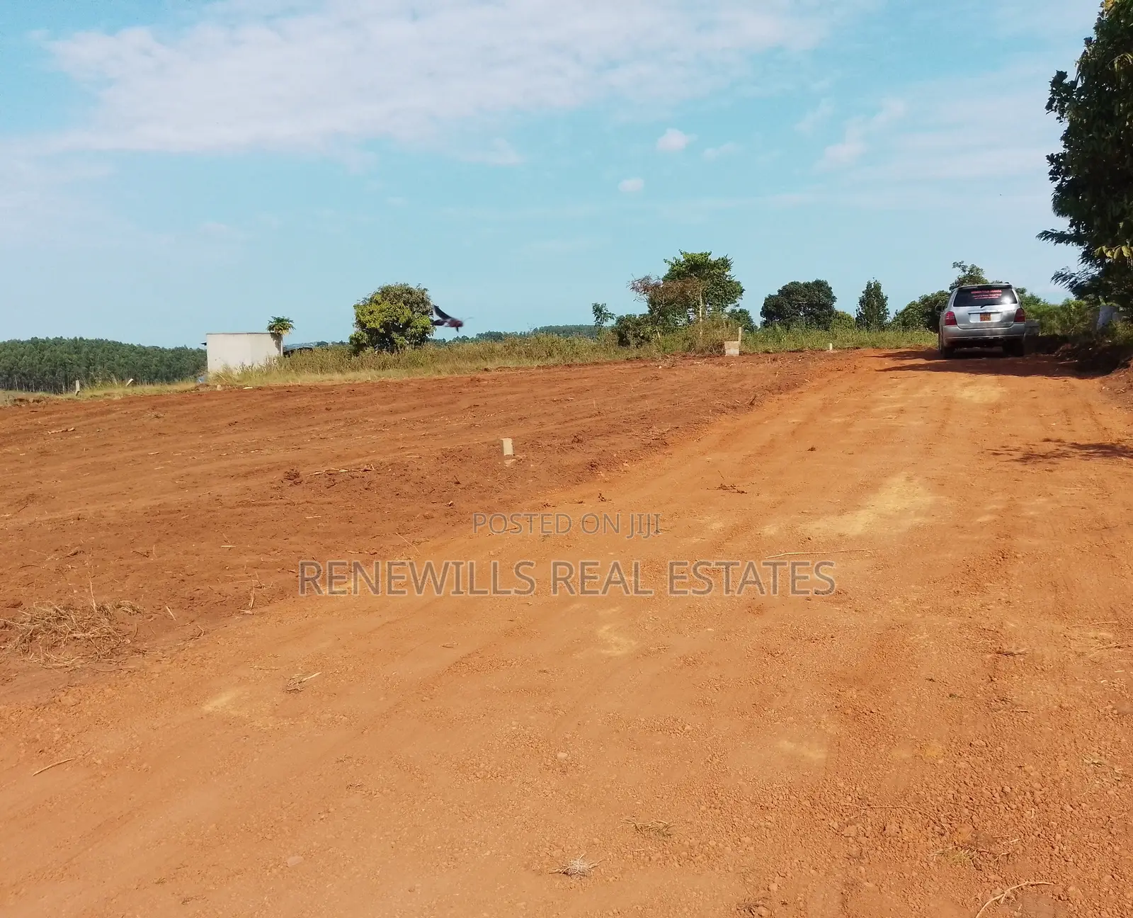 New Estate in Entebbe - Buwaya Sazi Titled 12 Decimals Near Road
