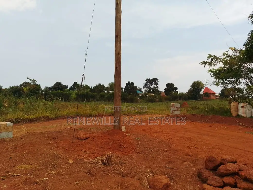 New Estate in Entebbe - Buwaya Sazi Titled 12 Decimals Near Road