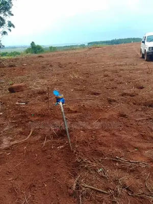 New Estate in Entebbe - Buwaya Sazi Titled 12 Decimals Near Road