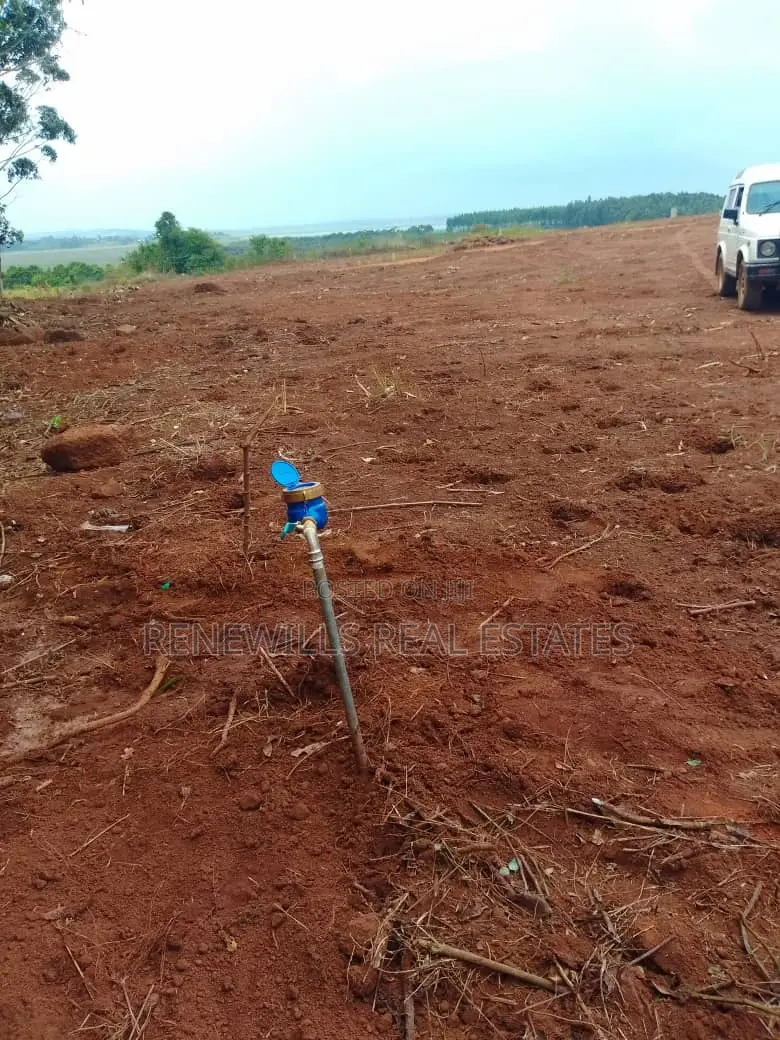 New Estate in Entebbe - Buwaya Sazi Titled 12 Decimals Near Road