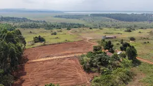 New Estate in Entebbe - Buwaya Sazi Titled 12 Decimals Near Road