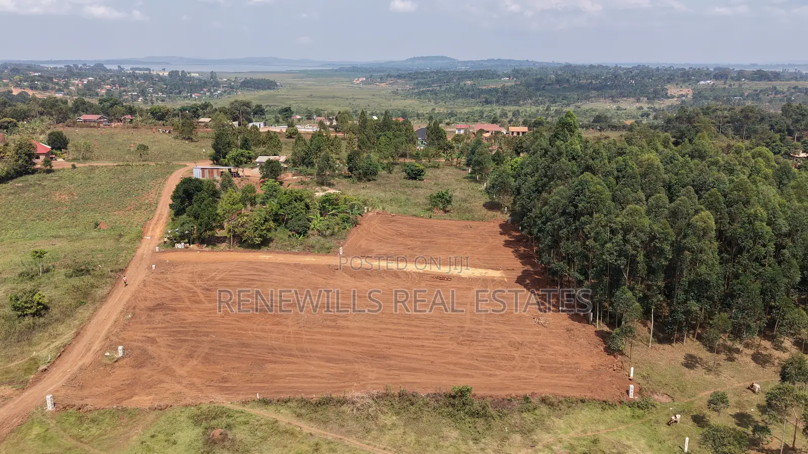 New Estate in Entebbe - Buwaya Sazi Titled 12 Decimals Near Road