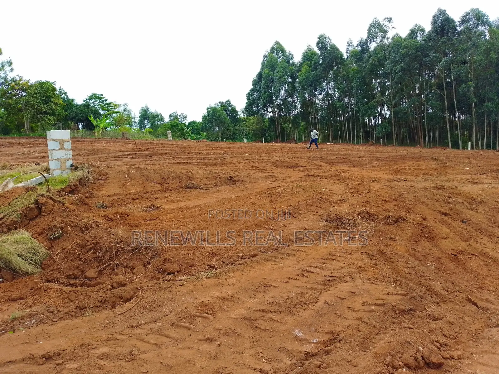 New Estate in Entebbe - Buwaya Sazi Titled 12 Decimals Near Road