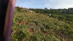 Mbalala Land for Sale