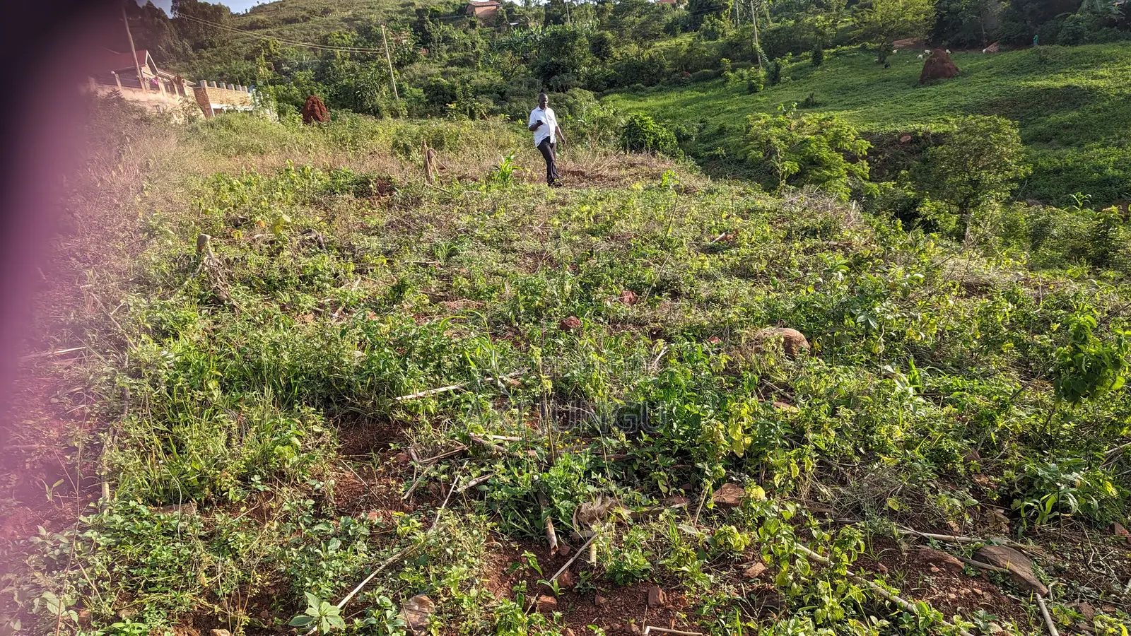 Mbalala Land for Sale