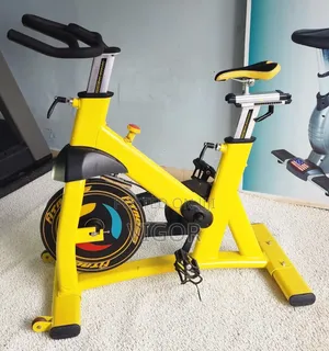 Vigor Spin Bike