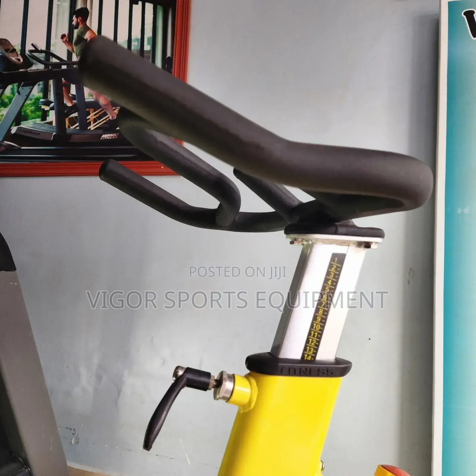 Vigor Spin Bike