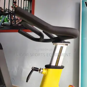 Vigor Spin Bike