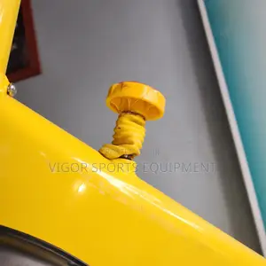 Vigor Spin Bike