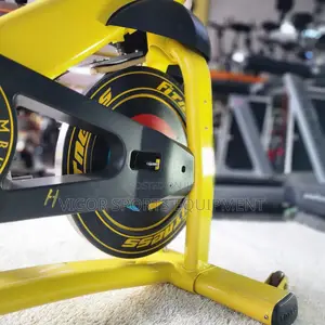 Vigor Spin Bike