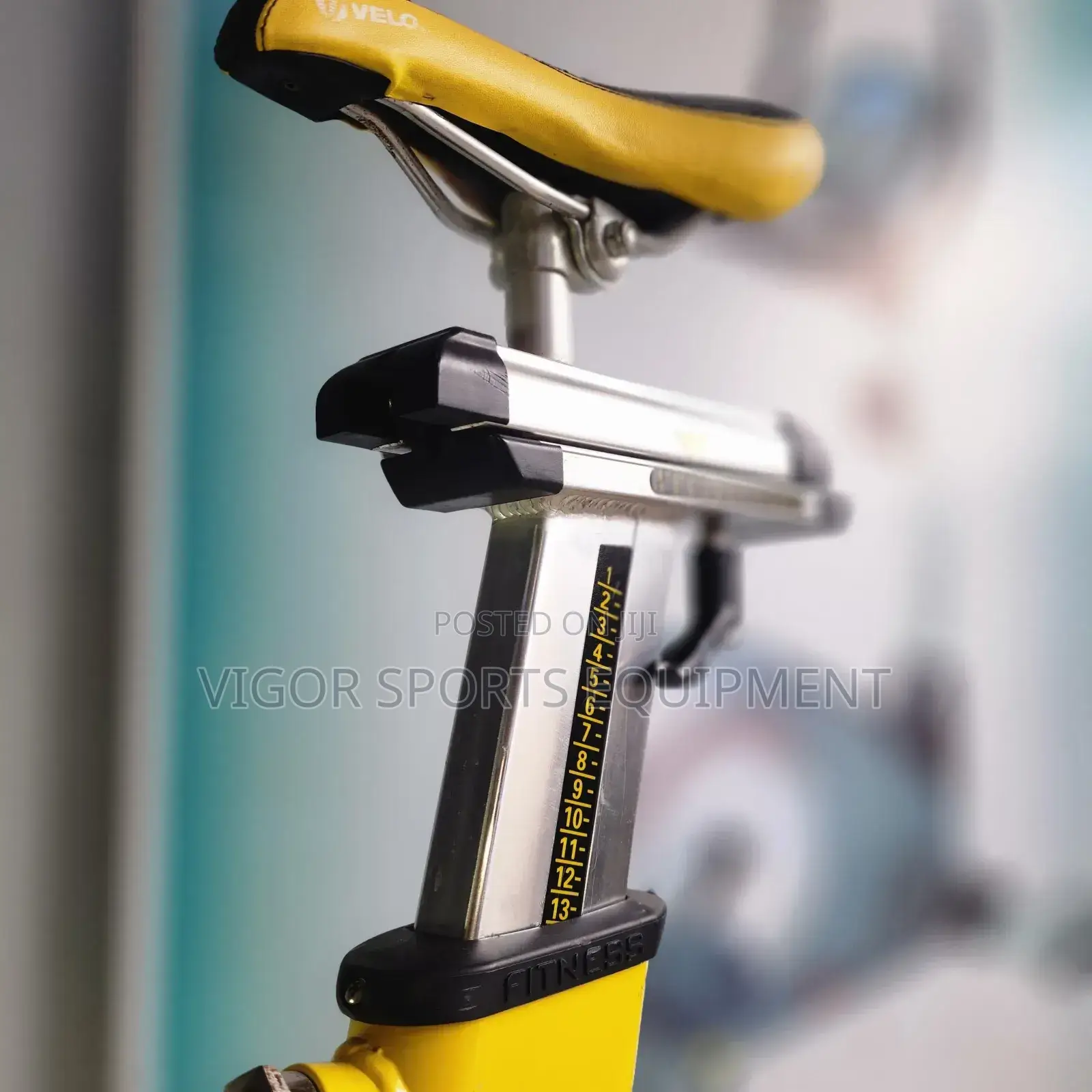 Vigor Spin Bike