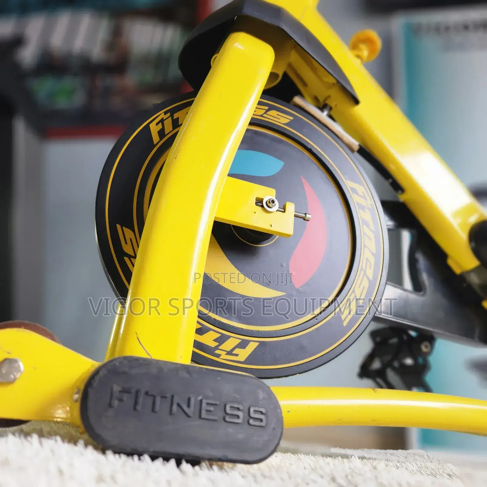 Vigor Spin Bike