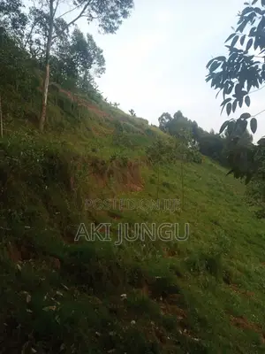 Hillside Land Overlooking Lake Bunyonyi