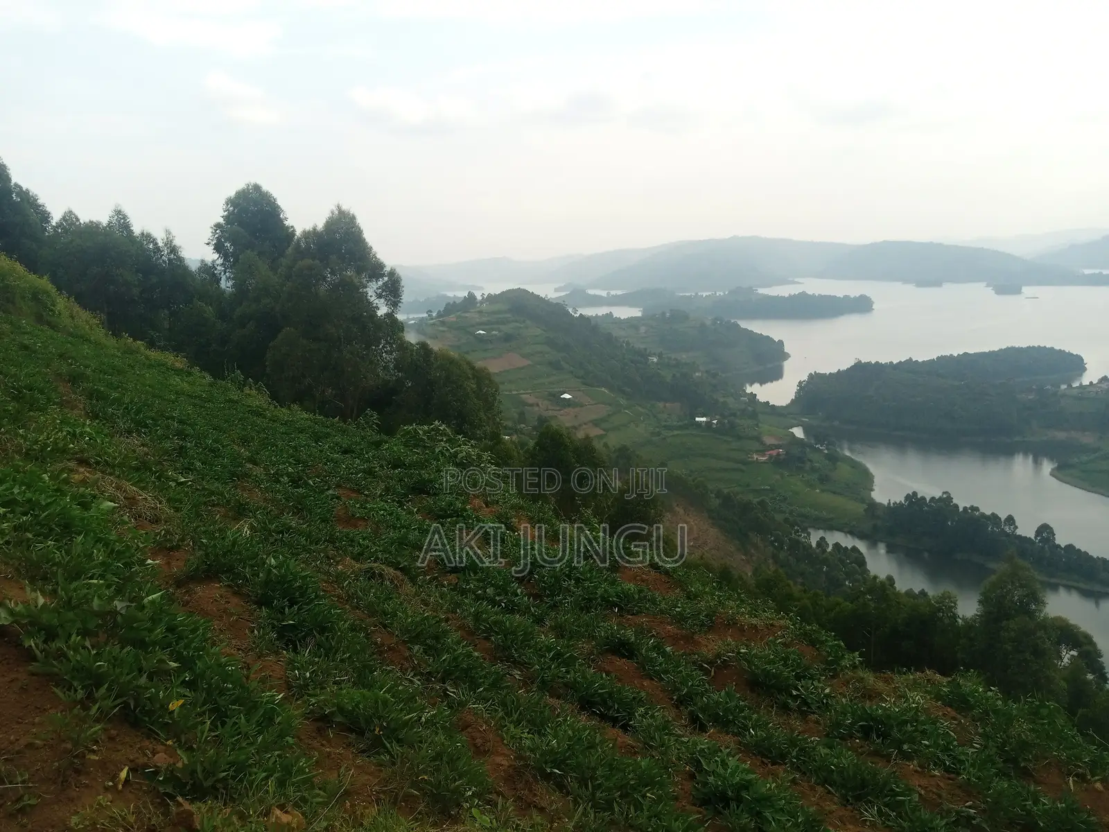 Hillside Land Overlooking Lake Bunyonyi