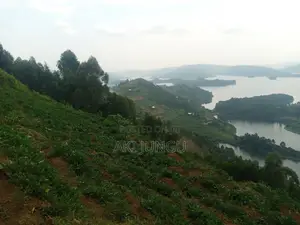 Hillside Land Overlooking Lake Bunyonyi
