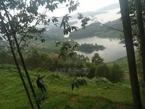 Hillside Land Overlooking Lake Bunyonyi