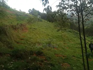 Hillside Land Overlooking Lake Bunyonyi