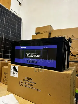 PHOEXY L12200 LiFePO4 (Lithium Iron Phosphate) Battery