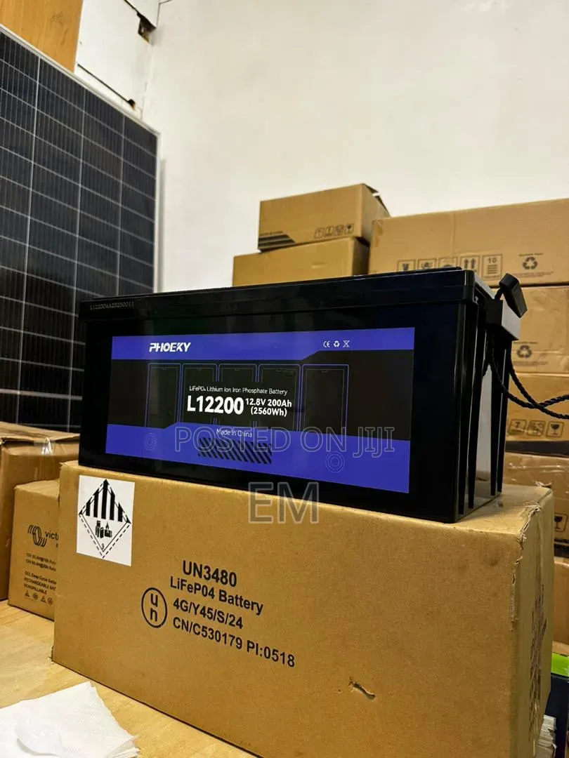 PHOEXY L12200 LiFePO4 (Lithium Iron Phosphate) Battery