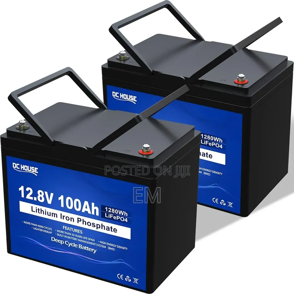 PHOEXY L12200 LiFePO4 (Lithium Iron Phosphate) Battery